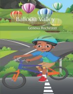 Balloon Valley