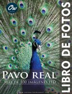Pavo real