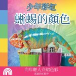少年彩虹, 蜥蜴的顏色