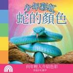 少年彩虹, 蛇的顏色