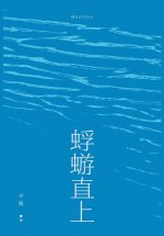 蜉蝣直上