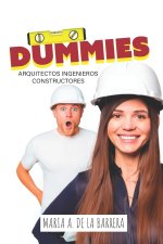 DUMMIES ARQUITECTOS, INGENIEROS, CONSTRUCTORES.