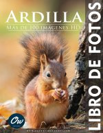 Ardilla