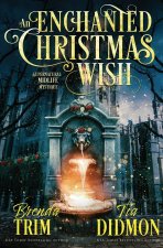 An Enchanted Christmas Wish
