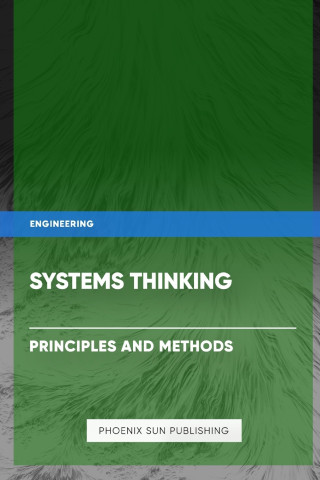 Systems Thinking - Principles and Methods