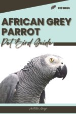 African Grey Parrot