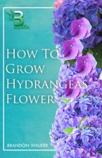 HOW TO GROW HYDRANGEAS FLOWER