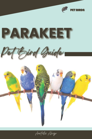 Parakeet