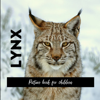 Lynx