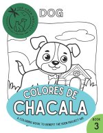 Colores de Chacala 3