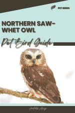 Northern Saw-whet Owl
