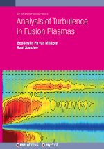 Analysis of Turbulence in Fusion Plasmas