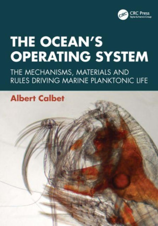 Ocean’s Operating System