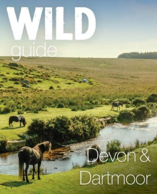 Devon & Dartmoor