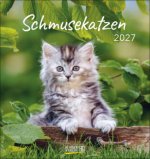 Schmusekatzen 2027