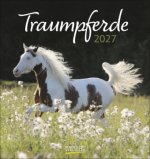 Traumpferde 2027