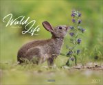 WaldLife 2027