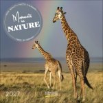 Moments in Nature 2027
