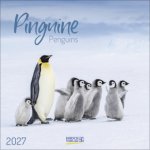 Pinguine 2027
