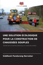 UNE SOLUTION ÉCOLOGIQUE POUR LA CONSTRUCTION DE CHAUSSÉES SOUPLES