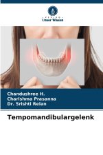 Tempomandibulargelenk