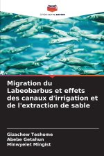 Migration du Labeobarbus et effets des canaux d'irrigation et de l'extraction de sable