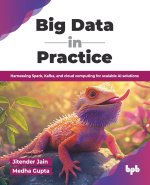 Big Data in Practice