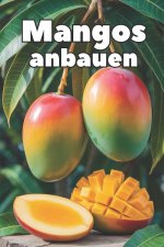 Mangos anbauen