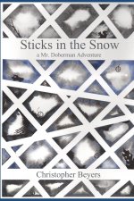 Sticks in the Snow