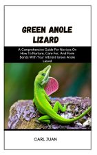 GREEN ANOLE LIZARD