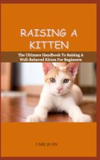RAISING A KITTEN