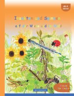 Insekten und Spinnen auf der Wiese und im Wald