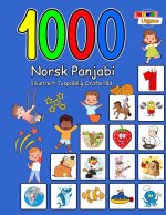 1000 Norsk Panjabi Illustrert Tospråklig Ordforråd (Fargerik Utgave)