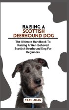 SCOTTISH DEERHOUND DOG