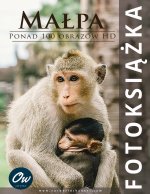 Małpa