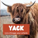 Yack