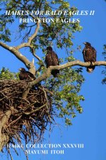 HAIKUS FOR BALD EAGLES II