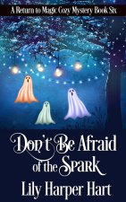 Don't Be Afraid of the Spark