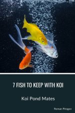7 Fish to Keep With Koi