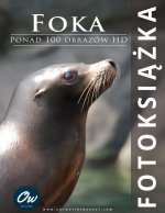 Foka