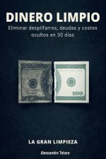 DINERO LIMPIO - La Gran Limpieza