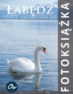 Łabędź