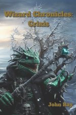 Wizard Cronicles