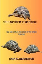 THE SPIDER TORTOISE