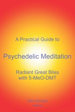A Practical Guide to Psychedelic Meditation