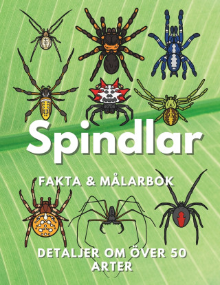 Spindlar