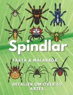 Spindlar