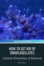 How To Get Rid Of Dinoflagellates