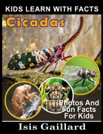 Cicadas