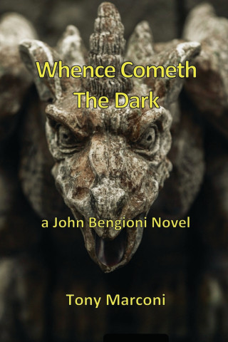 Whence Cometh the Dark
